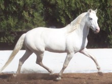 Centre Equestre Le Ranch  Baudonvilliers