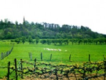 Musée De L'artiste Et De La Colline  Saxon-sion