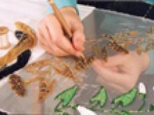 Conservatoire des Broderies 