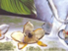 Cristallerie D'art Gross  Bertrichamps