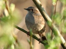 Forêt et Etang de Parroy