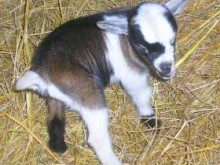 Site De Profonde Fontaine   Longuyon