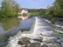 Associations Des Pêcheurs à La Ligne  Tantonville