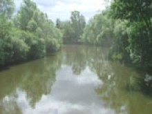 La Carache lunevilloise