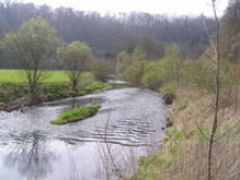 La Truite de verdurette