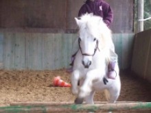 Centre Equestre  Vandoeuvre-lès-nancy