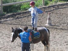 Centre Equestre Bel Air  Pont-à-mousson