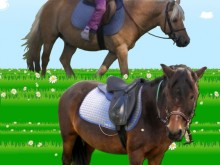 Poney Club Les Petits Loups  Saint-max