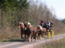 Vivre Les Années 50   Bertrichamps