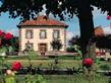 Dans La Foret de Parroy