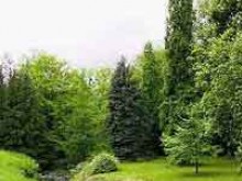 La Mortagne à la Meurt