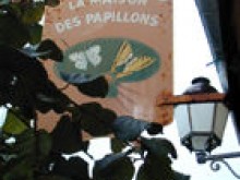 Musee Des Papillons  Saint-tropez