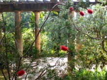 Parc Botanique Des Myrtes  Sainte-maxime