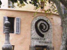 Musée Des Fossiles Et Minéraux  Bargemon