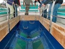 Bateau à Fond De Verre   Banyuls-sur-mer