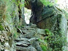 La réserve naturelle de Nyer 
