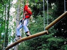 Montôz'arbres  Prats-de-mollo-la-preste