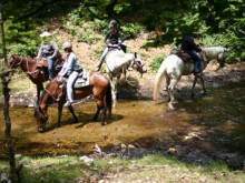 Centre équestre La Palouse  Saint-cyprien