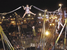 Trampoline, Loctation De Vélos, Parcours Agilité  Saint-cyprien