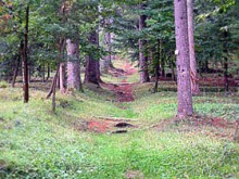 L’Arboretum du Planel