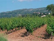 Randonnée, Sur Les Crêtes De L'alaric  Comigne