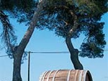 Circuit Des Châteaux Viticoles, Randonnée Vtt.  Puichéric