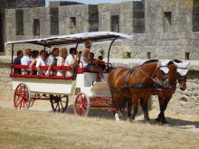Calèches De La Cité De Carcassonne 