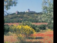 Le Mont Saint-loup  Agde