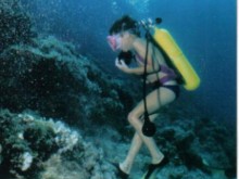 Découverte De La Plongée Sous-marine  Frontignan