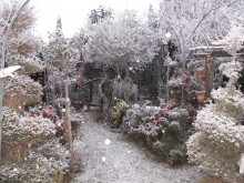 Jardin Le Clos Fleuri Chabeuil 