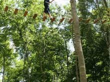 Le Parc  Grimpobranches  Witry-lès-reims