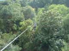 Le Parc Arboxygène  Verzy