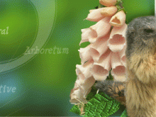 Le Parc Animalier du Creuset