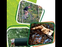 Parcours acrobatique en forêt