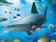 Aquarium Sea Life Val d'Europe Marne la Vallée