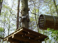 Parcours acrobatique en forêt