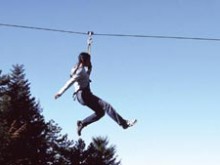 La Forêt D'aventures Du Lac Des Sapins  Cublize