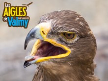 Les Aigles De Valmy  Argelès-sur-mer
