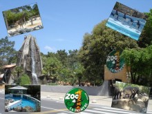 Parc Animalier De La Palmyre  Les Mathes