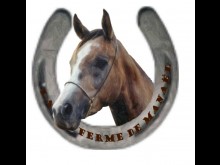 La Ferme De Manaël  Cogolin