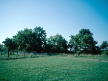 L'enceinte écclésiale du Mont d'Auvet