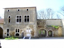Château à Dommartin-sur-vraine (88) 