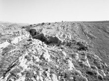 Ensemble Agro Pastoral à Cipières (06) 