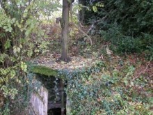 Fontaine à Alloue (16) 