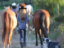 Le Sagi'ranch  Saint-julien-aux-bois