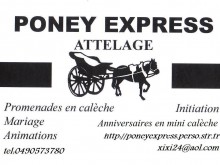 poney express