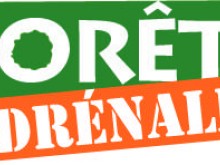 Foret Adrenaline, Une Aventure Dans Les Arbres Au Coeur De Rennes 