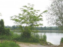 Port De Grima  Cadaujac