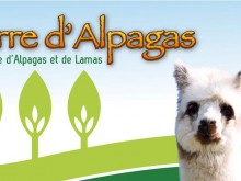 Terre D'alpagas  Dampierre