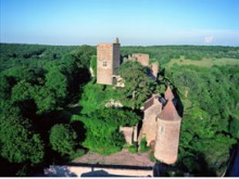Château de Brancion